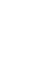 Pebble And Palm